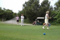img_1267439450_401