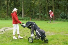 img_1323616293_554