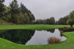 IMG_20241018_131144