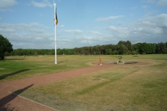 LZyd19 (12)
