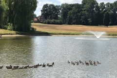 Photo 18-07-18 13 27 22