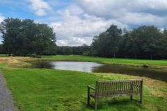 Rinkven24-12