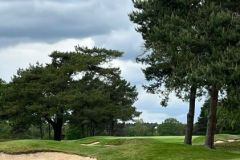 RLGC26-12