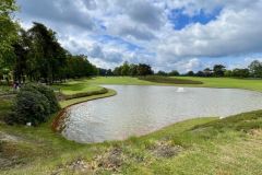 RLGC26-29