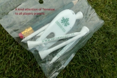 Ternesse17a (9)